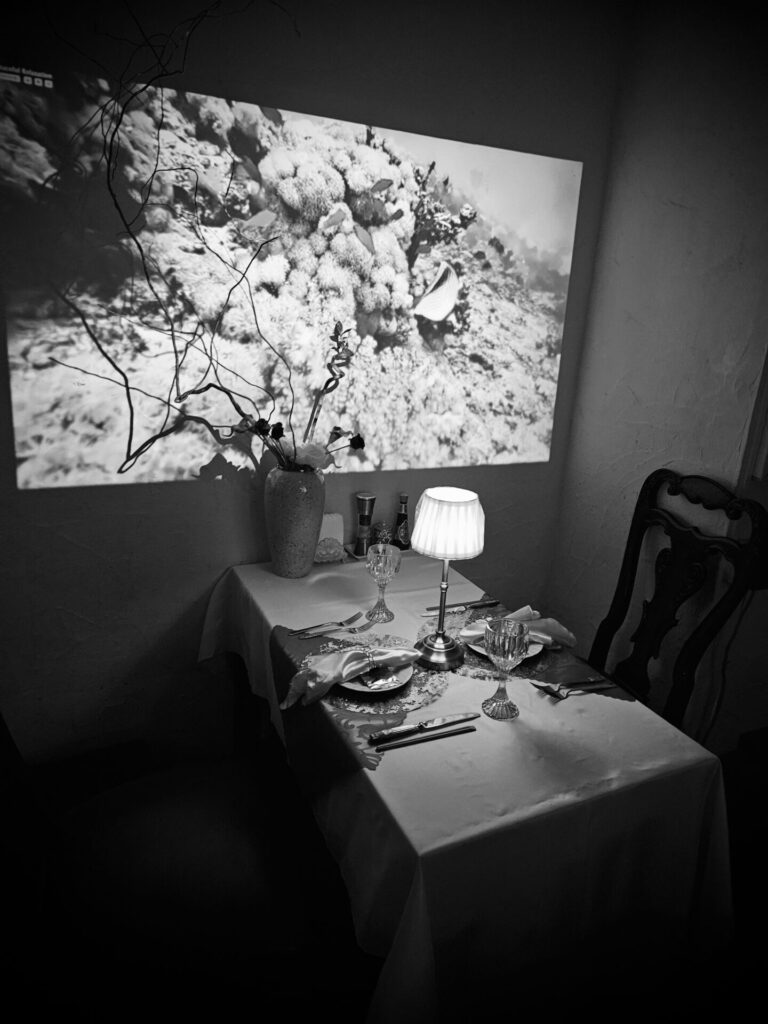 【那覇・ステーキ】473が守り抜く沖縄の「真実」｜和牛の起源と古酒を纏う刻霧焼きの聖域